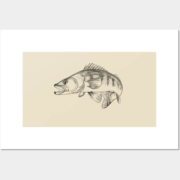 Pike - perch Wall Art by sibosssr